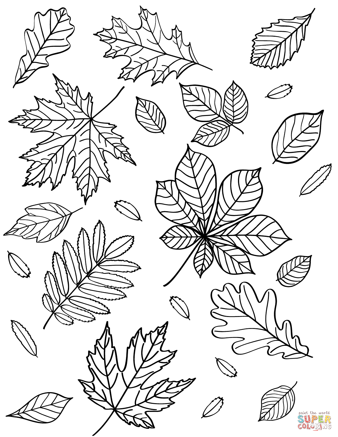 Ausmalbild herbstblãtter ausmalbilder kostenlos zum ausdrucken