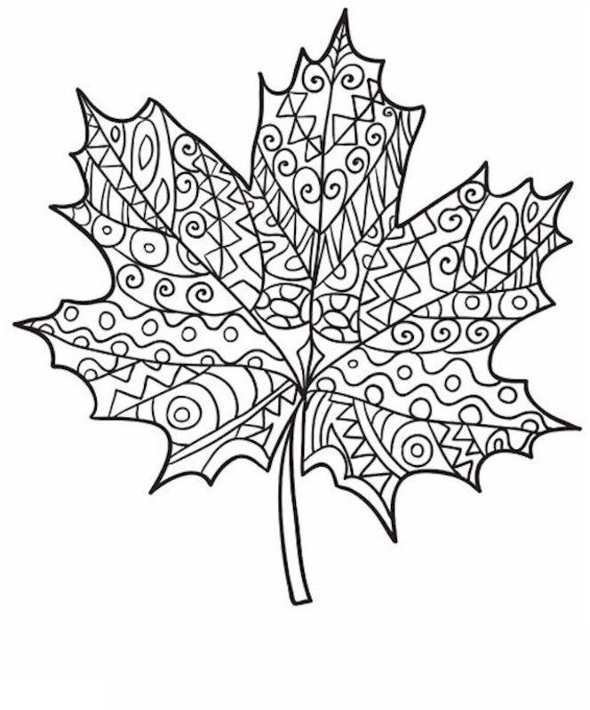 Fall coloring pages for adults to print adults coloring pages print fall coloring pages fall leaves coloring pages thanksgiving coloring pages