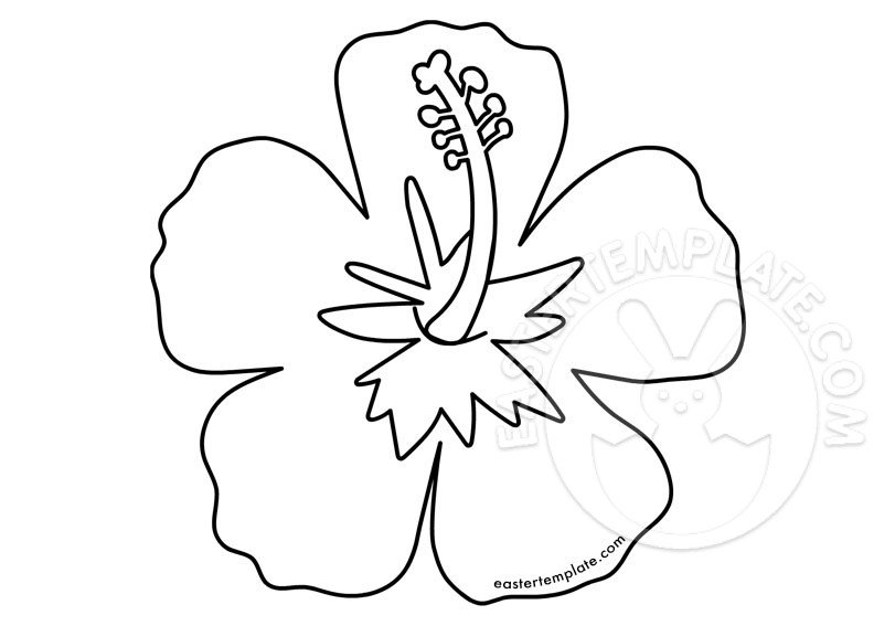 Hibiscus coloring page