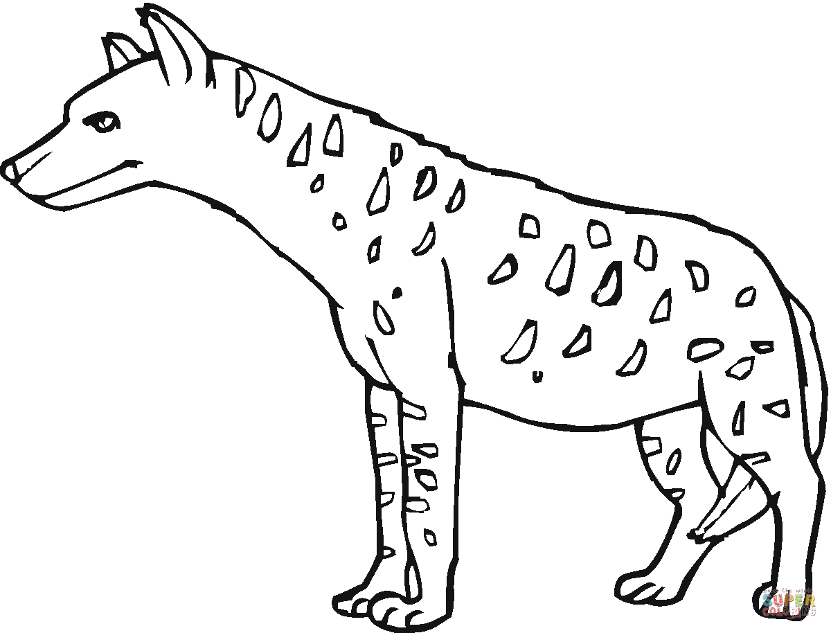 Spotted hyena or tiger wolf coloring page free printable coloring pages