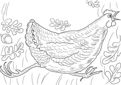 Ausmalbild henny penny schreit der himmel fãllt runter ausmalbilder kostenlos zum ausdrucken