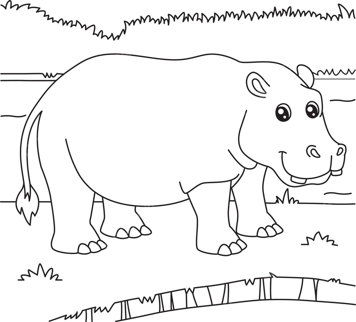 Desenho de hipopãtamo para colorir crianãas ilustraãão zoolãgico colorido vetor png desenho de rato desenho de anel desenho de hipopãtamo imagem png e vetor para download gratuito