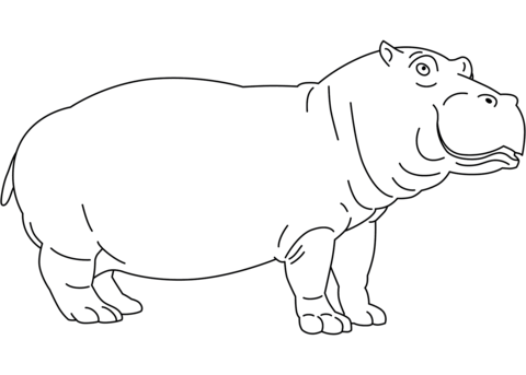 Hippopotamus coloring page free printable coloring pages