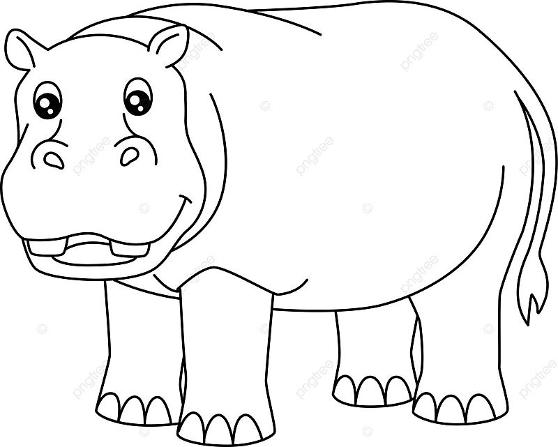 Dibujo de hipopãtamo pãgina para colorear aislado niãos libro vector png dibujos dibujo de libro dibujo de anillo dibujo de hipopãtamo png y vector para dcargar gratis