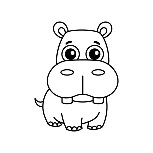 Hippo coloring pages stock illustrations royalty