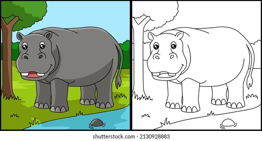 Hippo color photos and images