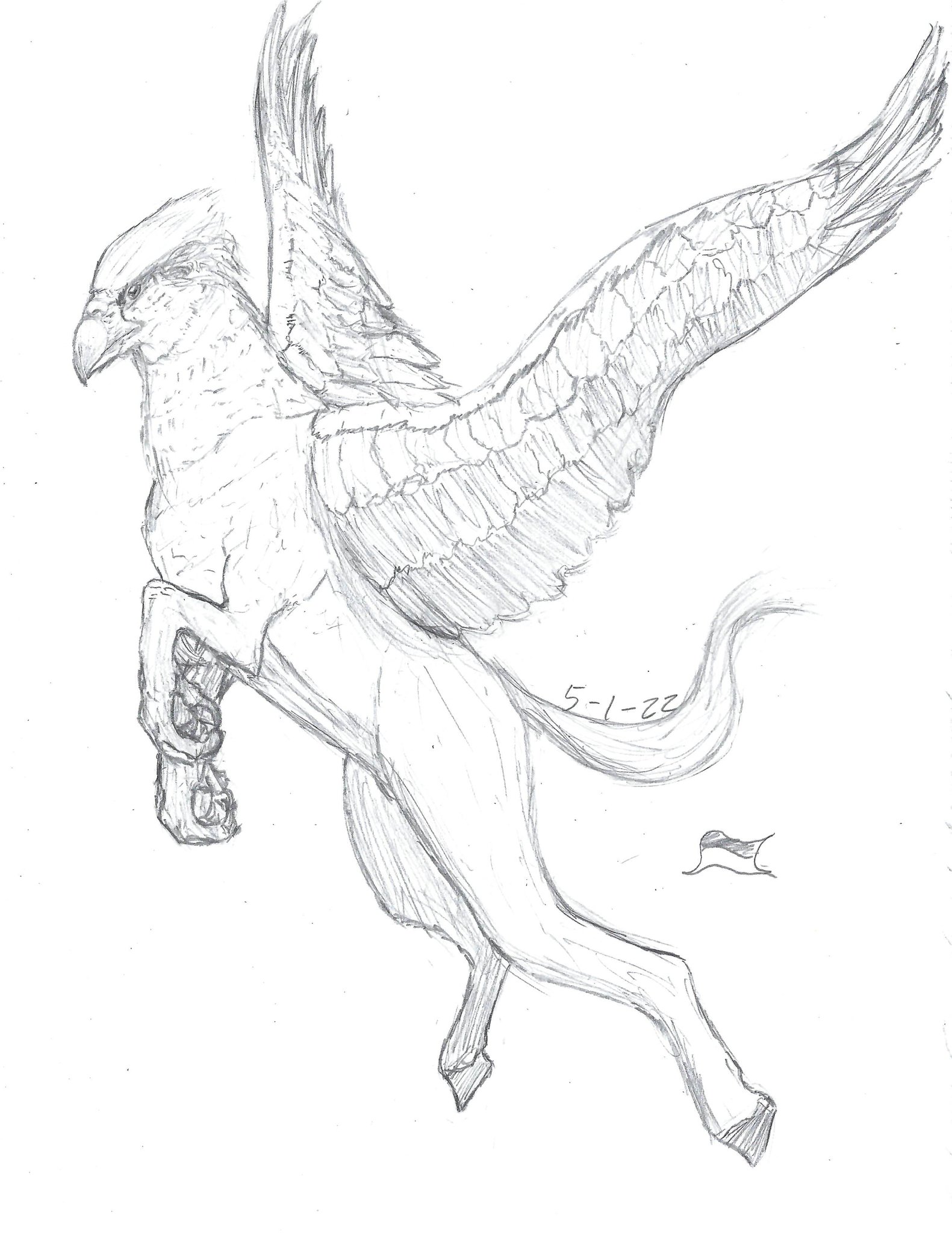 Poorly drawn hat on x hippogriff harrypotter traditionalart drawing art httpstcogxksdbyxd x