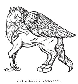 Hippogriff photos and images