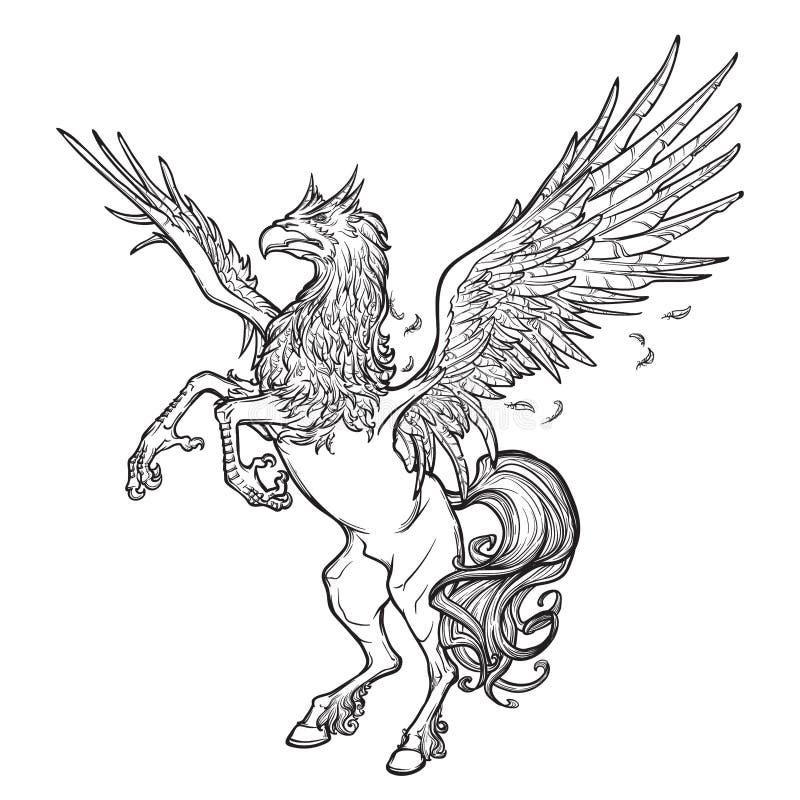 Hippogriff logo stock illustrations â hippogriff logo stock illustrations vectors clipart
