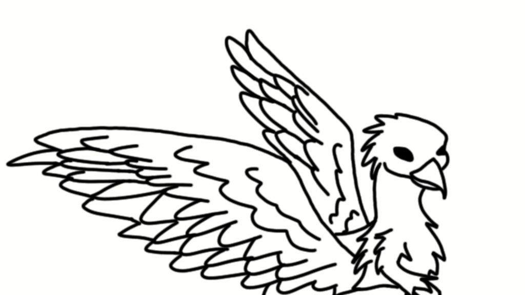 Hippogriff picture harry potter amino