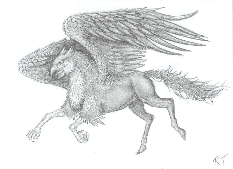 Hippogriff by ruth