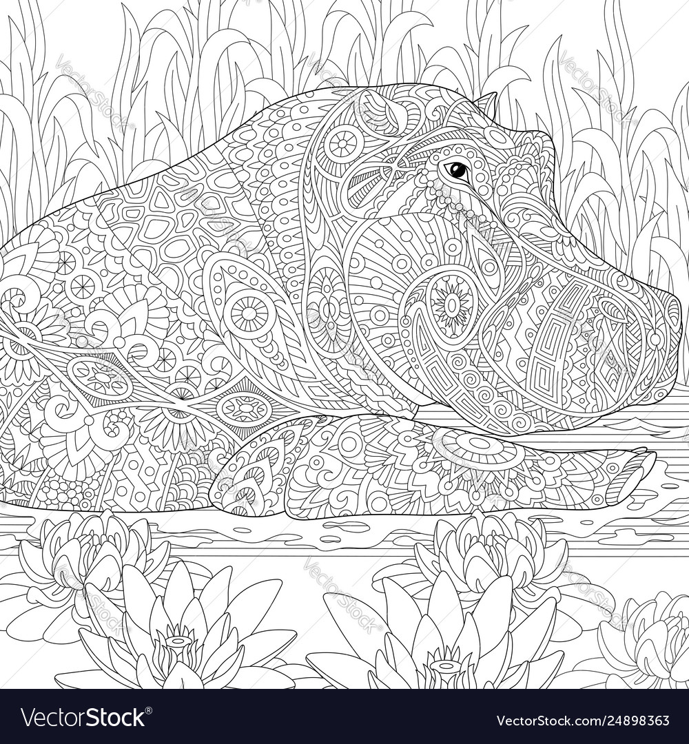 Hippopotamus hippo adult coloring page royalty free vector