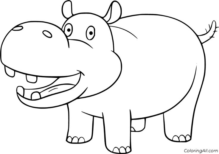Pin on mammal coloring pages