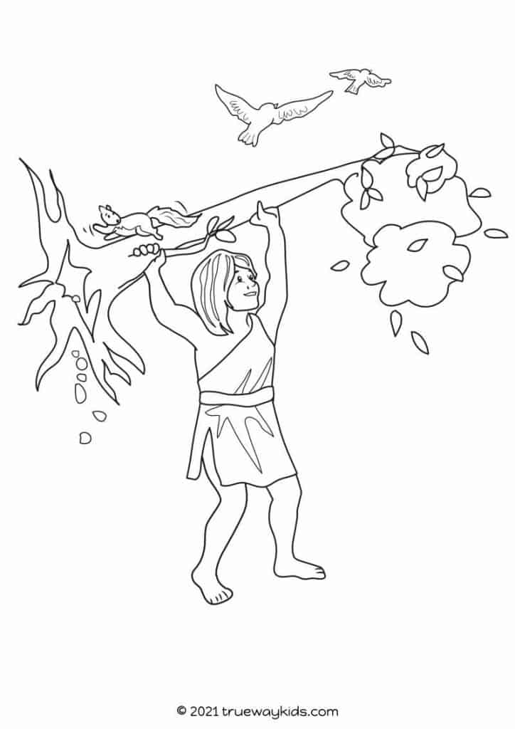 Sansãn