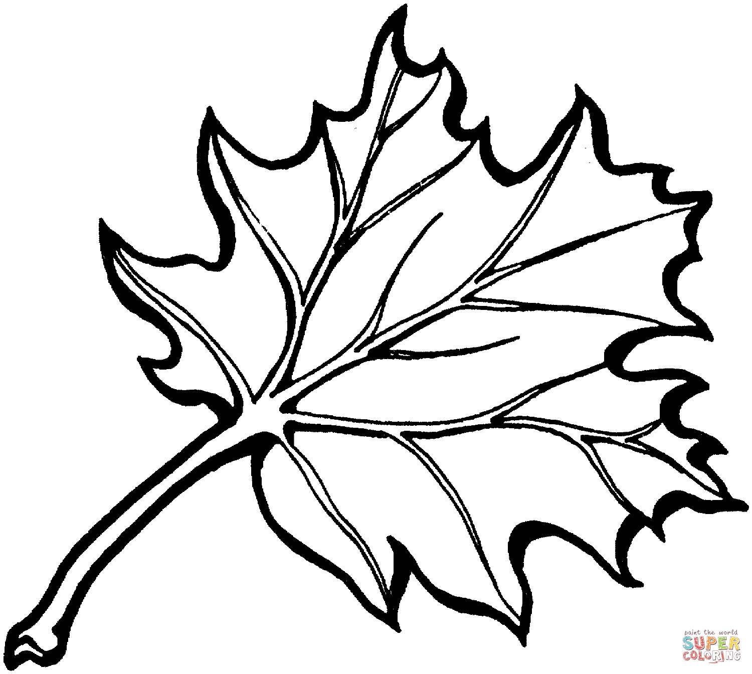Dibujo de hoja de roble negro americano para colorear dibujos para colorear imprimir gratis