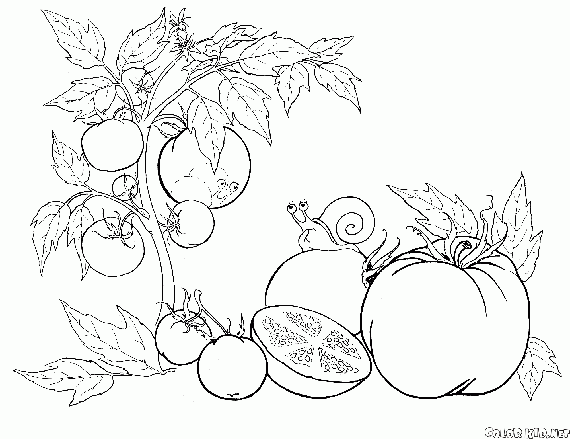 Coloring page