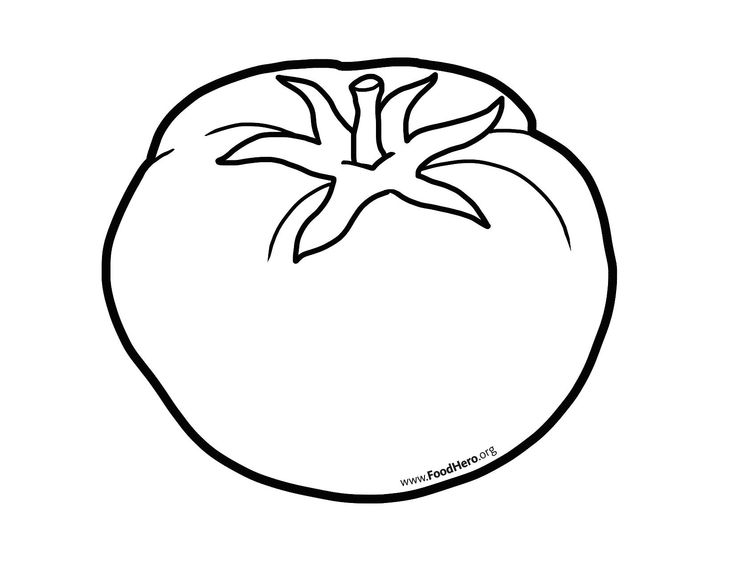 Tomates tomato drawing vegetable drawing vegetable coloring pages