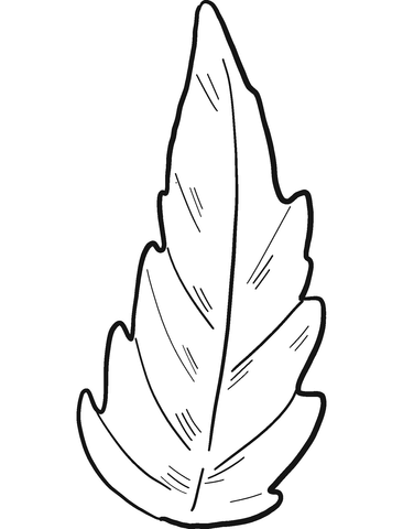 Tomato leaf coloring page free printable coloring pages