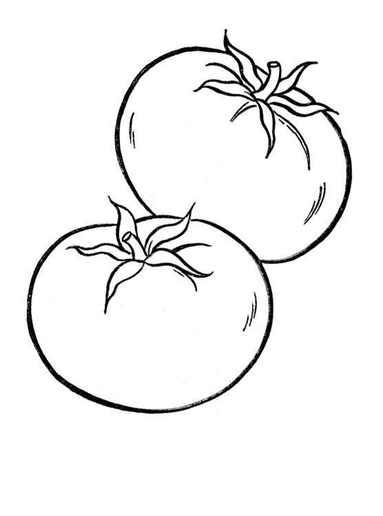 Tomates hd dibujoswiki vegetable coloring pages coloring pages fruits drawing
