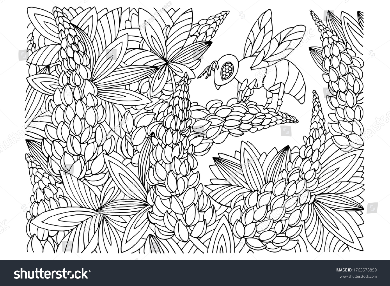 Imãgenes fotos de stock objetos en d y vectores sobre adult coloring bee