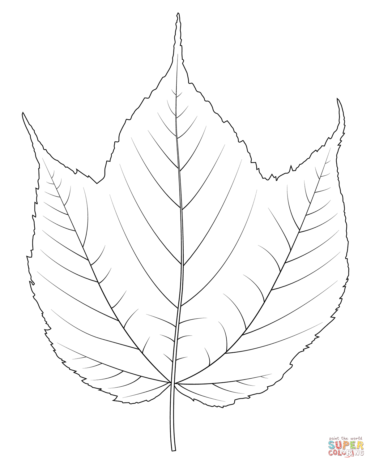 Dibujo de hoja de arce rayada para colorear dibujos para colorear imprimir gratis
