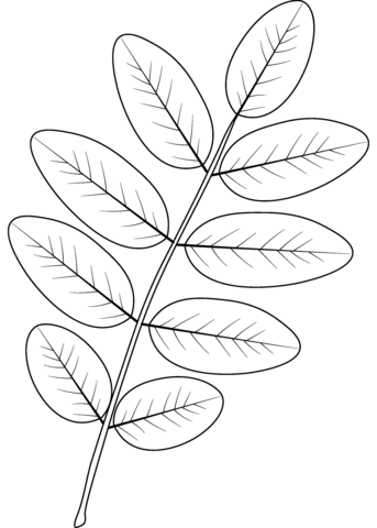 Dibujo de hoja de ãrbol de pagoda para colorear dibujos para colorear imprimir gratis