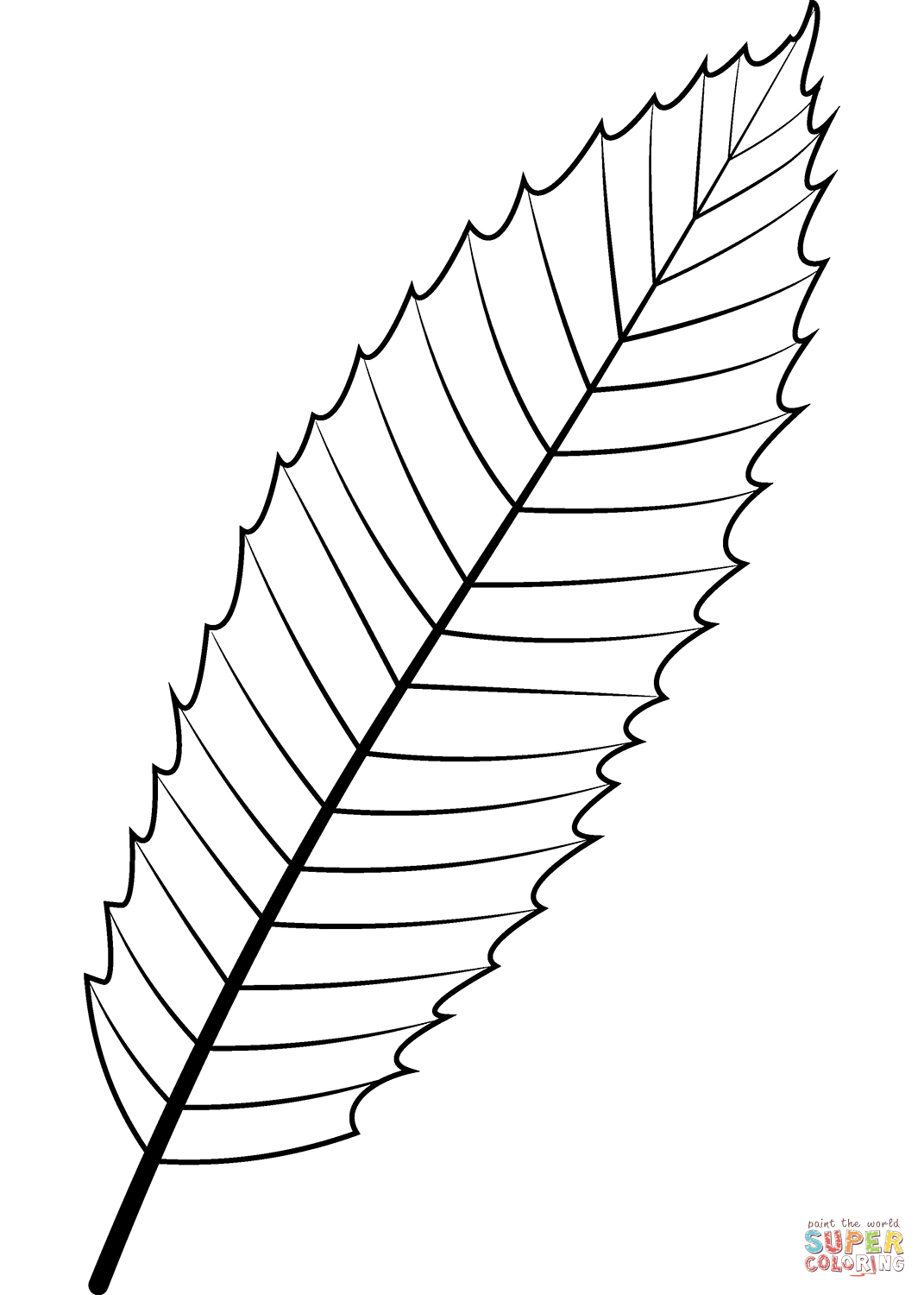 Dibujo de hoja de castaão europeo para colorear dibujos para colorear imprimir gratis