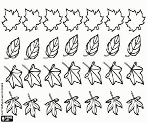 Plants and leaves coloring pages printable games leaves coloring book coloring pages nature coloring pages