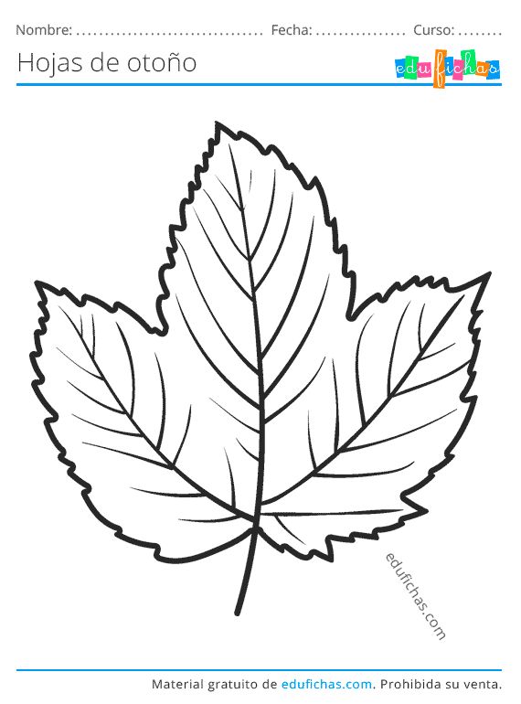 Ð hojas de otoão para colorear descargar dibujos para pintar pdf hojas de otoão hojas para colorear hojas para dibujar