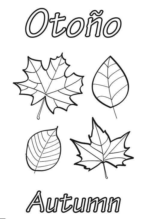 Hojas de otoão para colorear