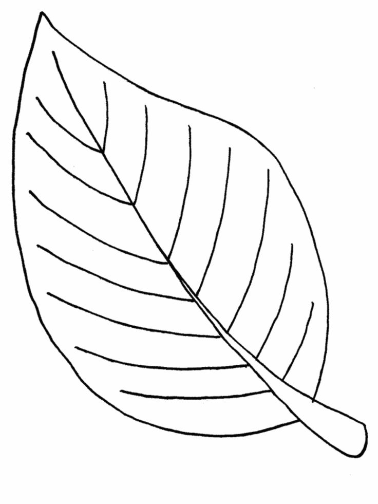 Imprimir hojas de arboles