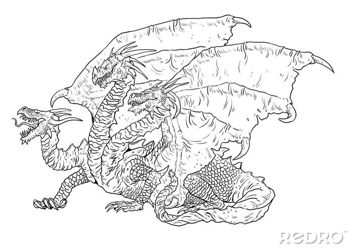 Obraz three headed dragon coloring page outline illustration dragon na wymiar â smok kaprys potwãr â