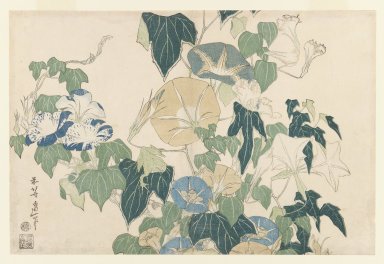Brooklyn museum
