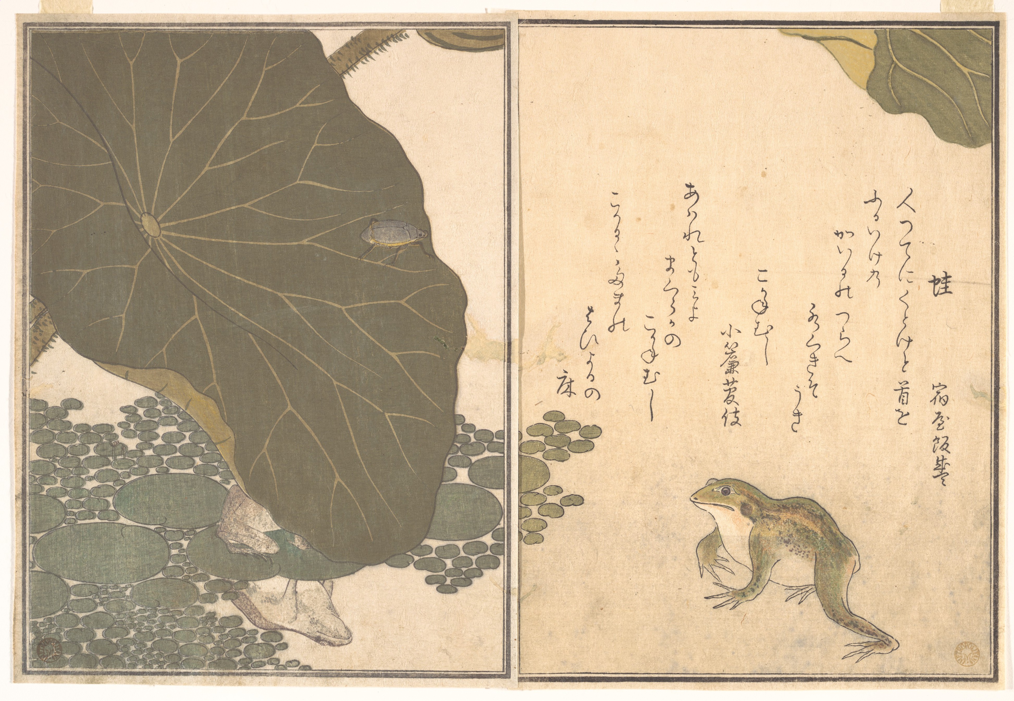 Kitagawa utamaro frog kaeru gold beetle kogane mushi from the picture book of crawling creatures ehon mushi erami japan edo period â the metropolitan museum of art