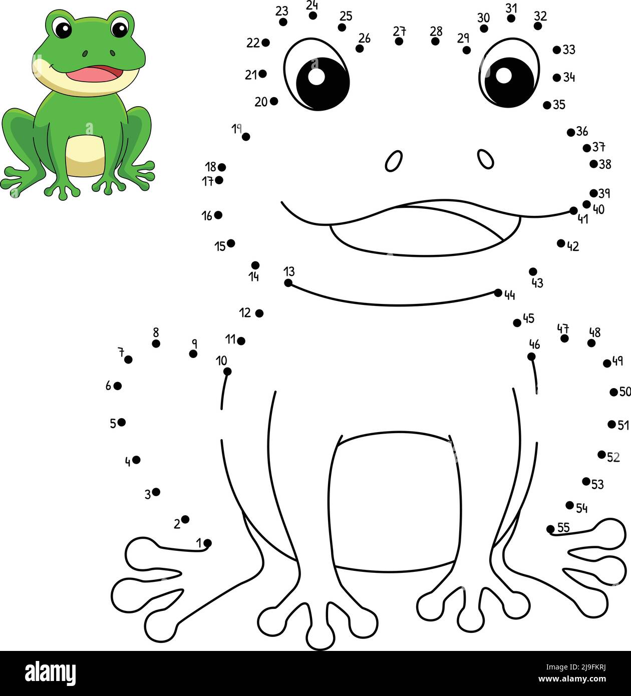 Frog line art hi