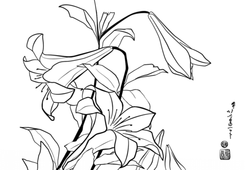 Lilies by katsushika hokusai coloring page free printable coloring pages
