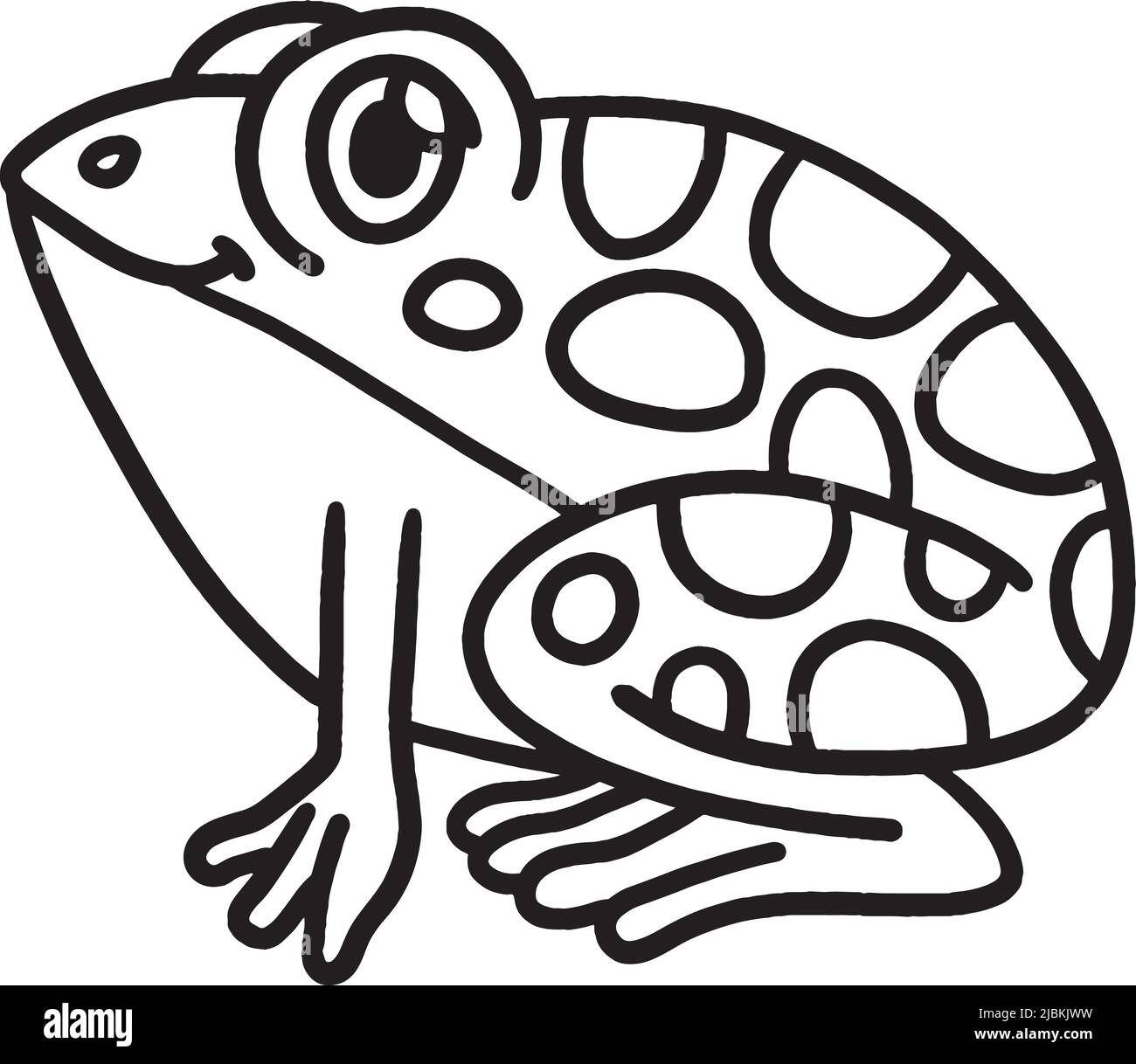 Toad black and white stock photos images