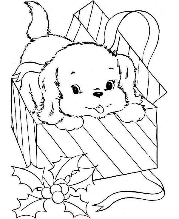 Dogs little dog came from present box coloring page dog coloring book dog coloring page coloring pages