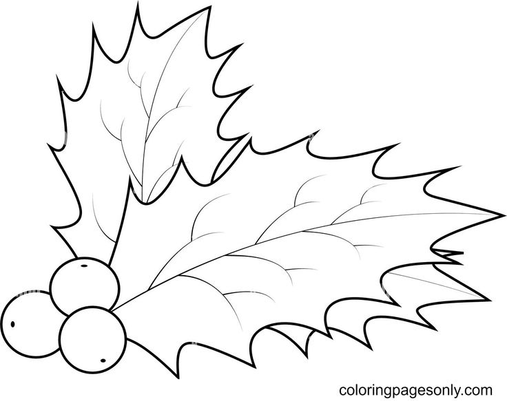Christmas holly coloring pages