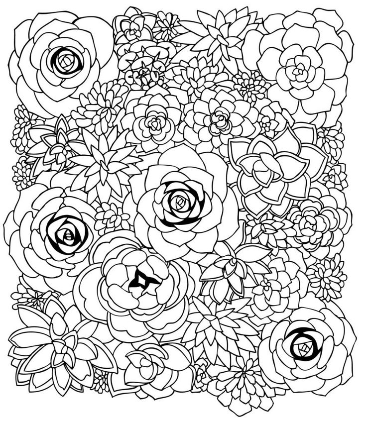 Homalocephala texensis or hor crippler cactus coloring page free printable coloring pages cactus drawing flower coloring pages coloring pages