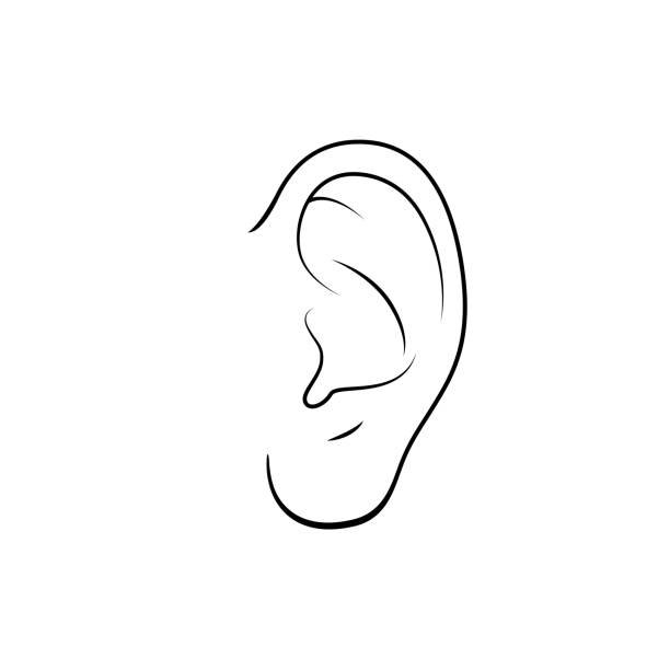 Black and white vector illustration of childrens activity coloring book pages with pictures of orange ear stock illustration