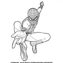 Dibujos para colorear spiderman