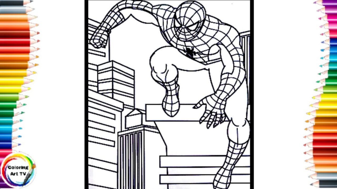 Spider