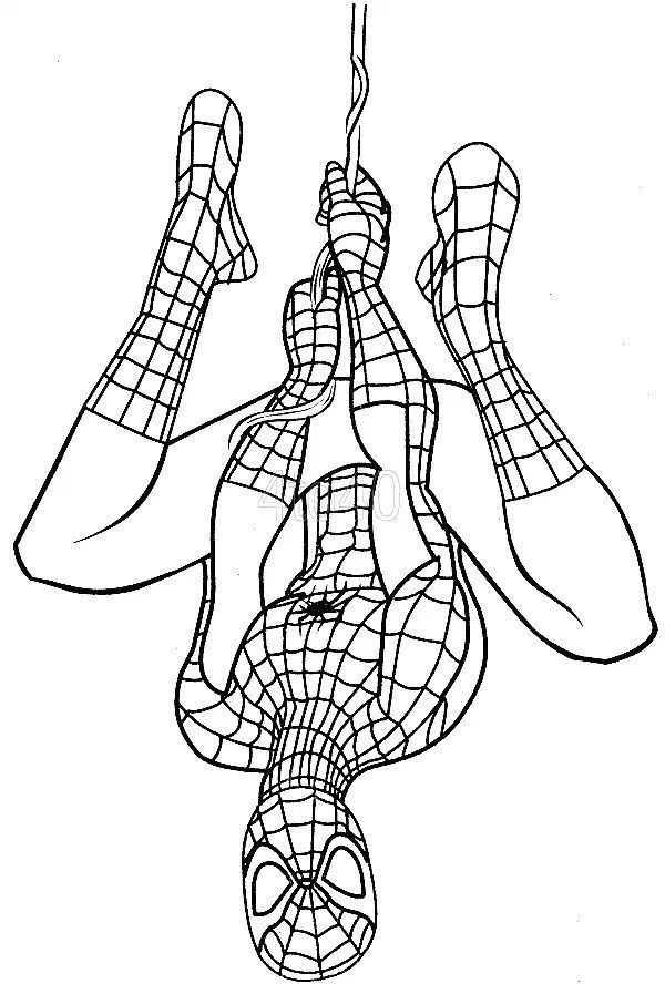 Desenhos do homem aranha para colorir avengers coloring pages avengers coloring spiderman coloring