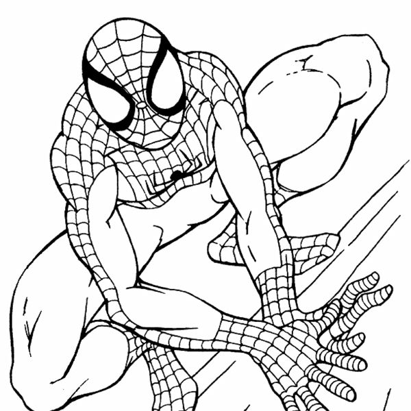 Desenhos para colorir do homem aranha desenhos para pintar livro de colorir pãginas para colorir gratuitas