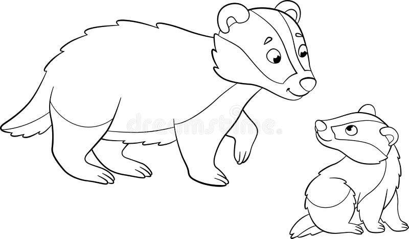 Badger coloring stock illustrations â badger coloring stock illustrations vectors clipart