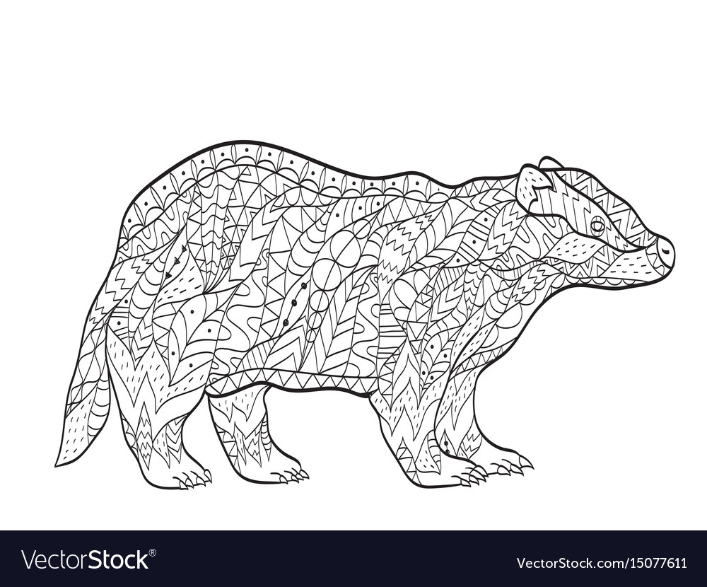Coloring european badger for adults royalty free vector