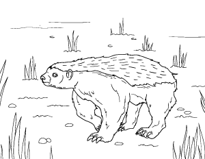 Free printable animal coloring pages page