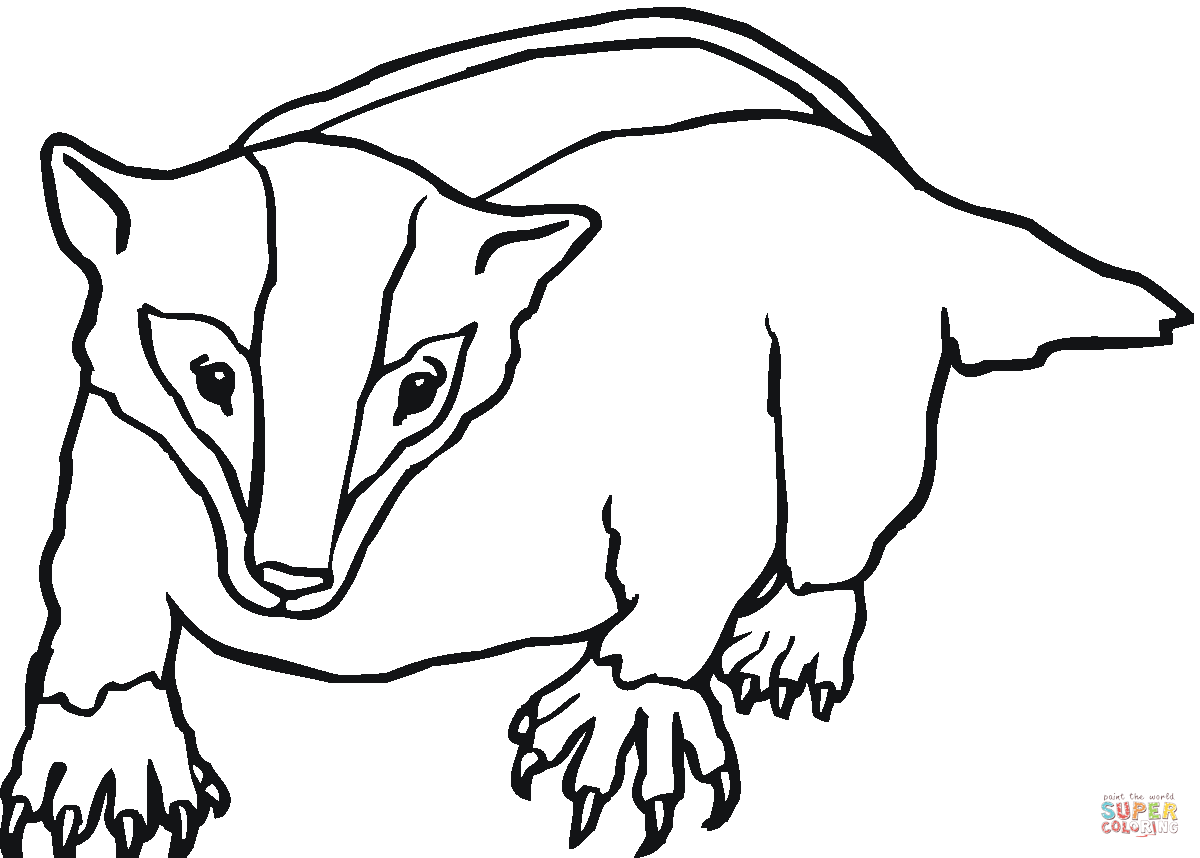 Imagem relacionada animal coloring pages coloring pages badger