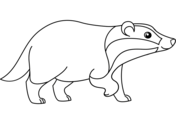 Badgers coloring pages free coloring pages